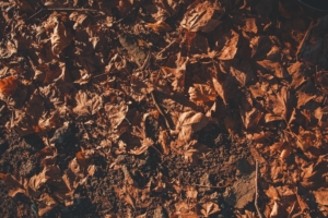遺品整理